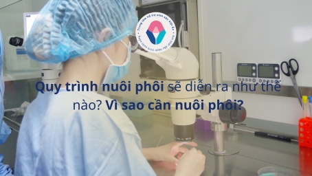 Quy trình nuôi phôi sẽ diễn ra như thế nào Vì sao cần nuôi phôi