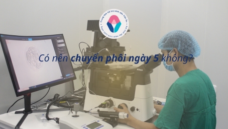 Có nên chuyển phôi ngày 5 không