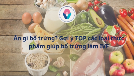 Ăn gì bổ trứng Gợi ý TOP các loại thực phẩm giúp bổ trứng làm IVF