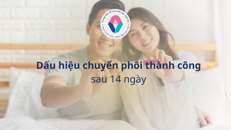 Dấu hiệu chuyển phôi thành công sau 14 ngày